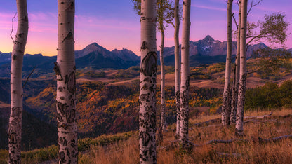 Aspen Frames fototapet