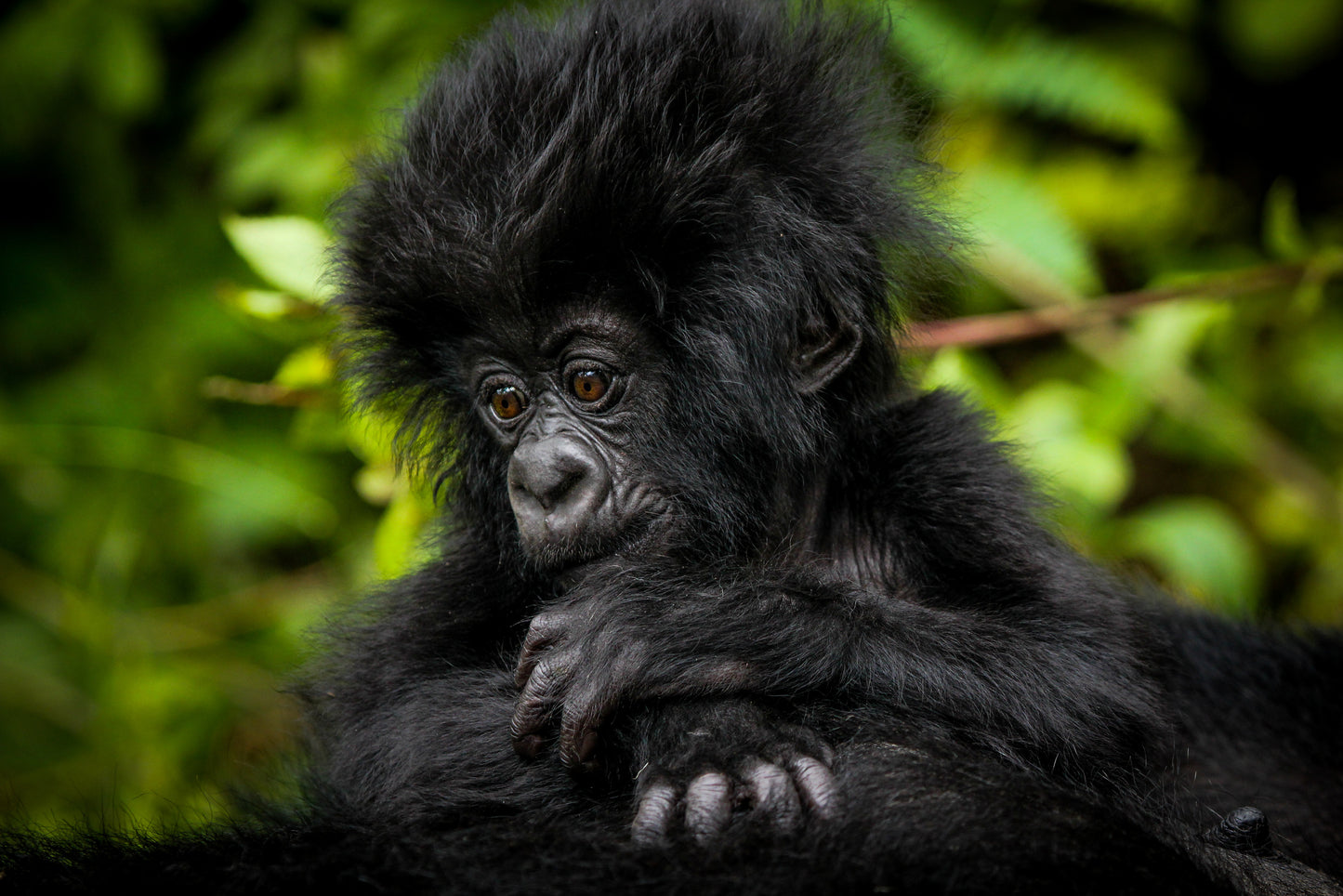 A wrong morning fototapet