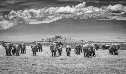 The Titans fototapet