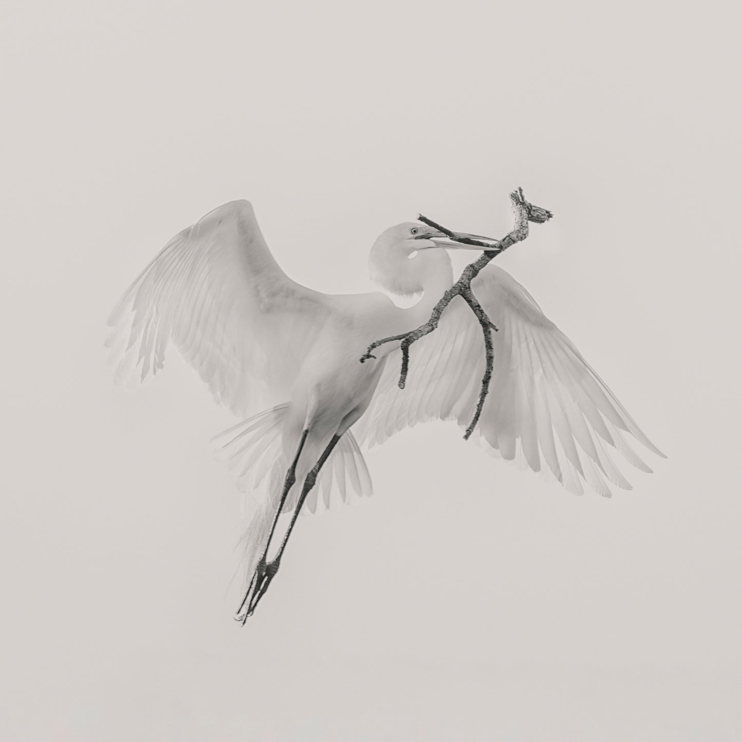 A Good One fototapet