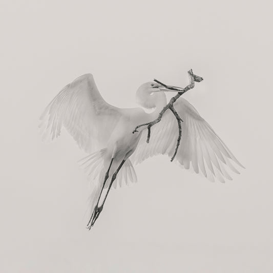 A Good One fototapet