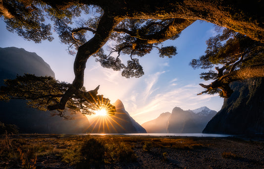 Sunny Day in Milford Sound fototapet