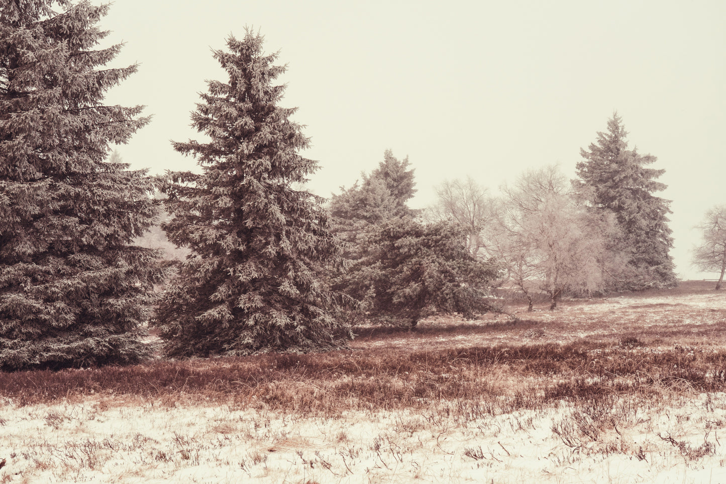 W6 1 Dsc9925 fototapet