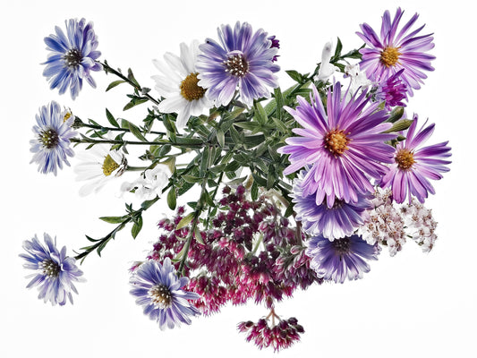 autumn garden flowers fototapet