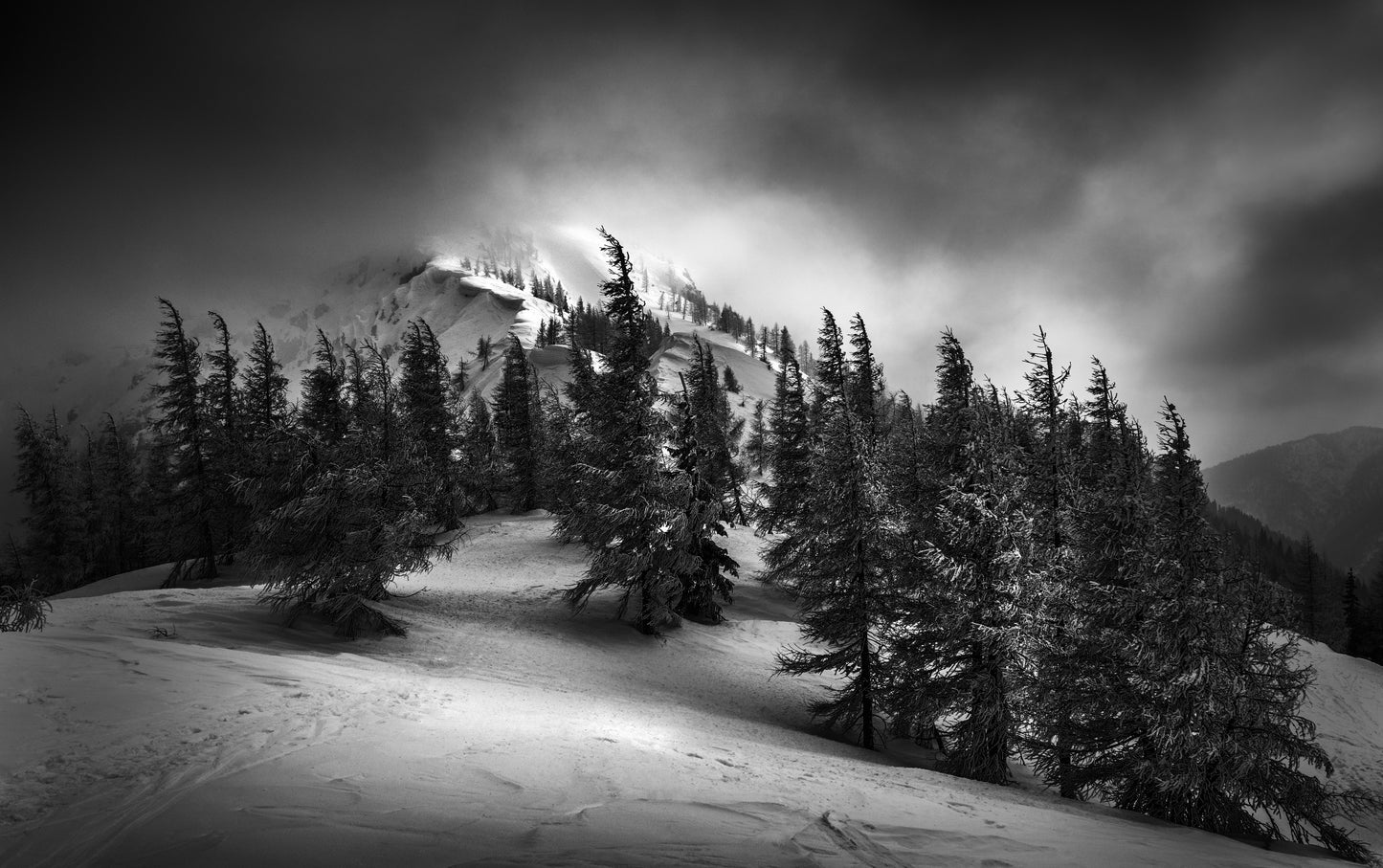 Windy & cold fototapet