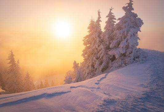 Winter wonderland fototapet