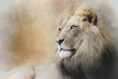 In Deep Thought fototapet