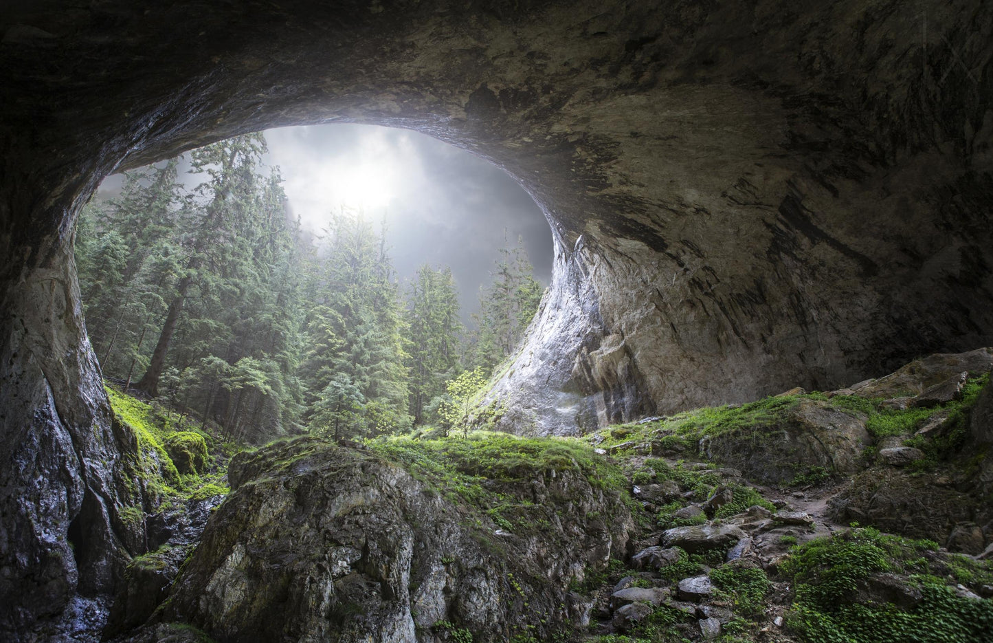 Peek to Heaven fototapet