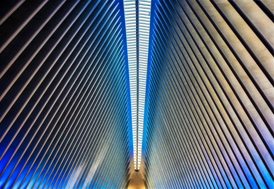 Wings of hope fototapet