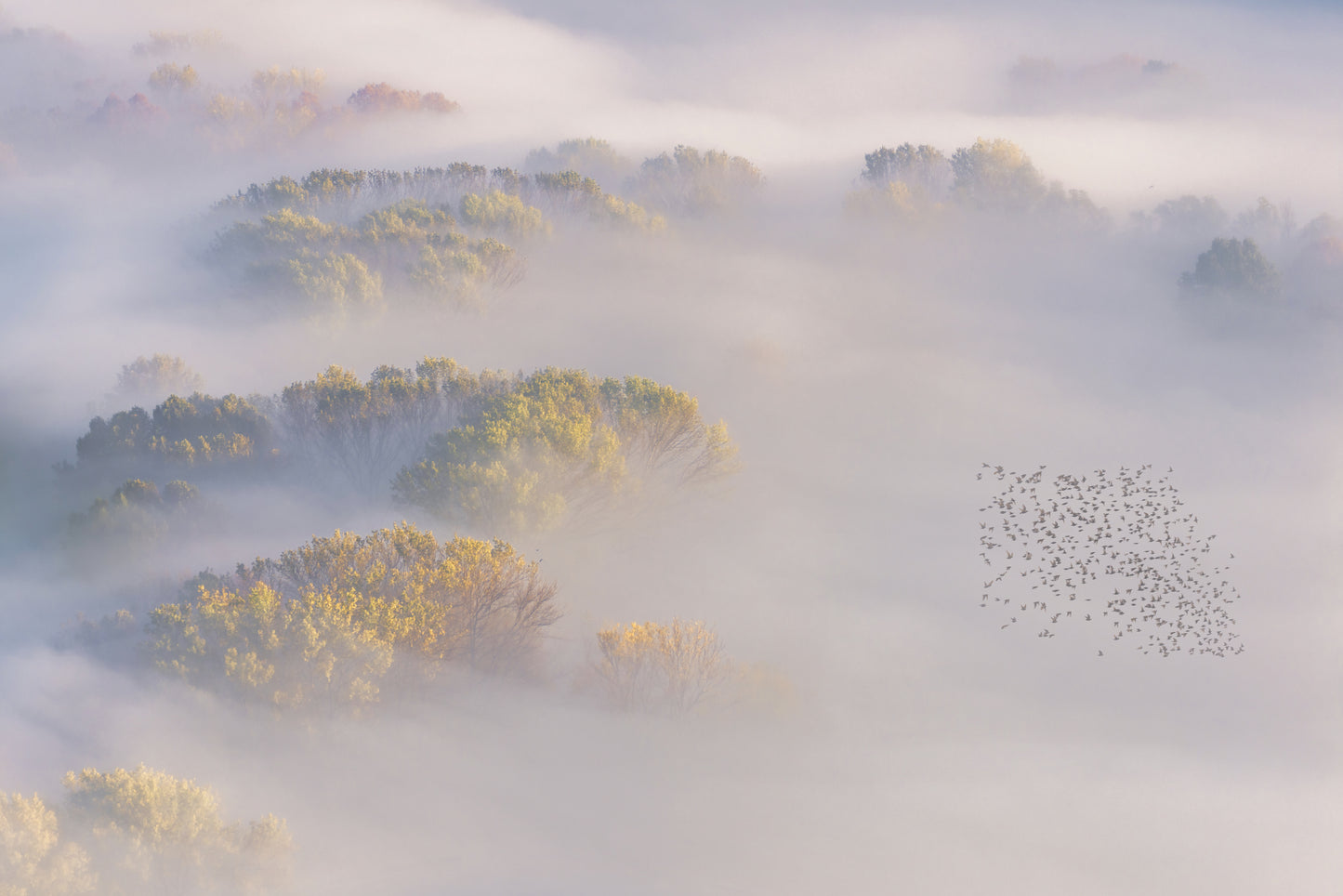 The seventh day fototapet