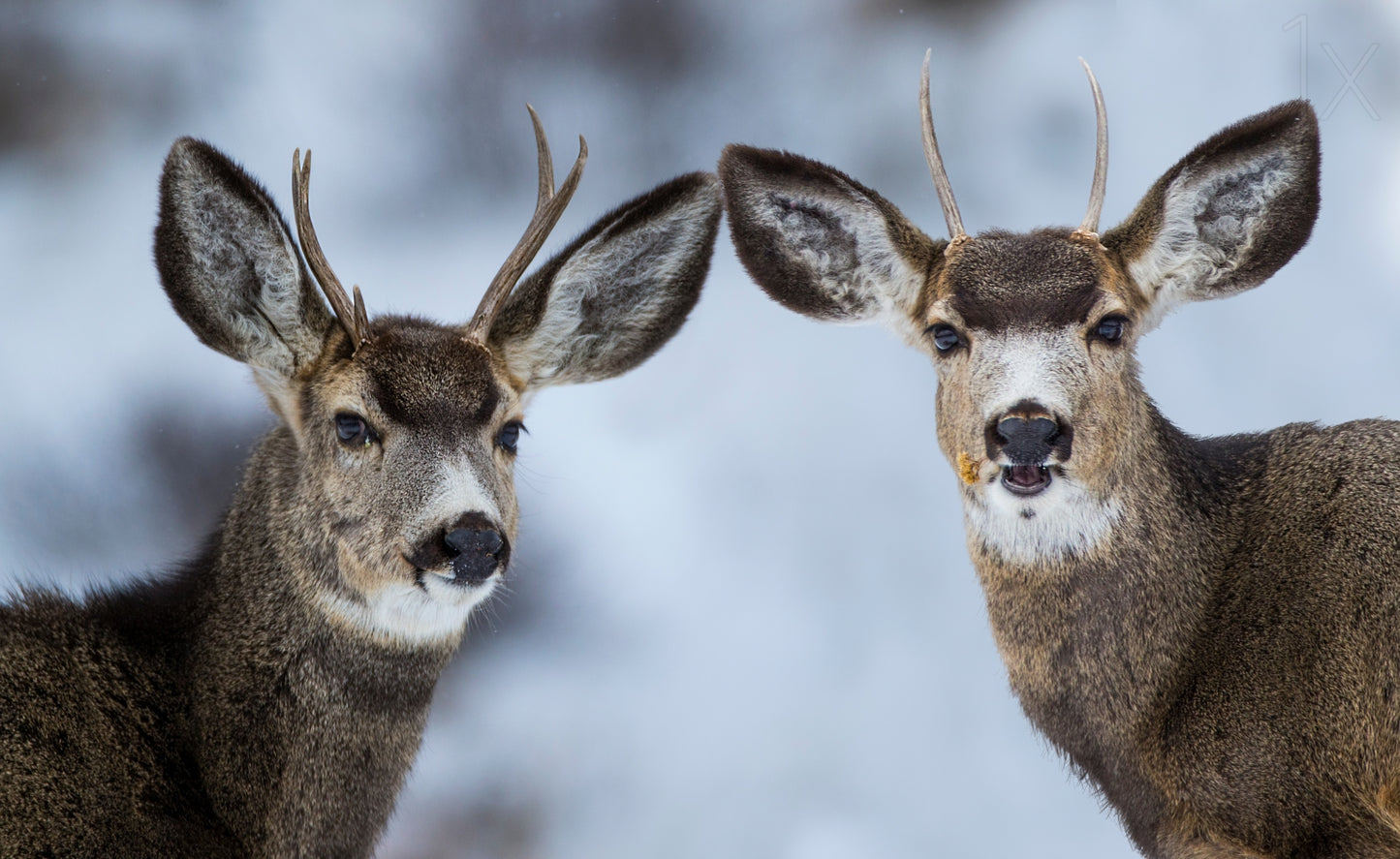 Are we there yet ... fototapet