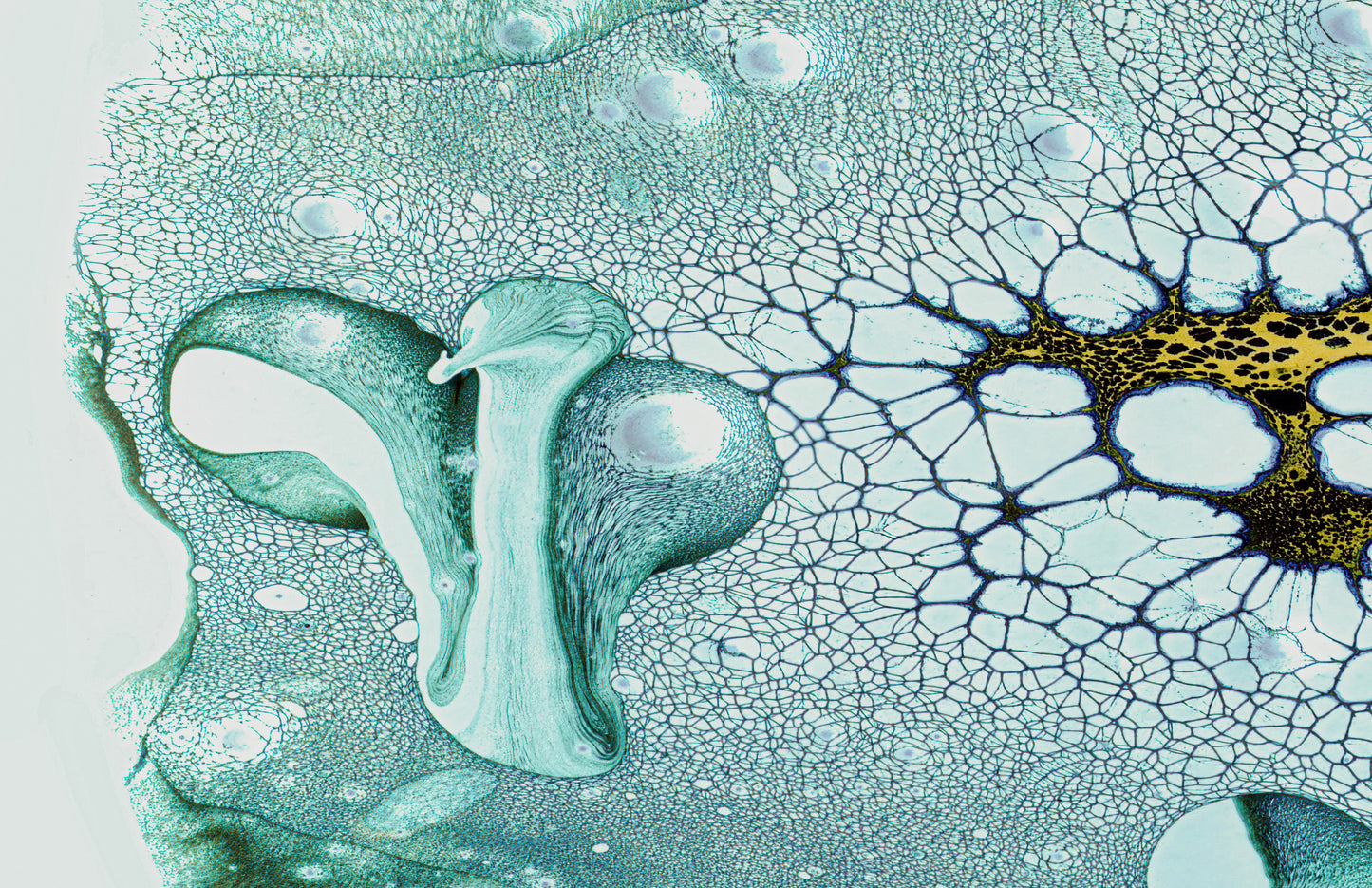 K Color (Chrome Oxide) Pigment dispersing in Croom Acrylic House Paint fototapet