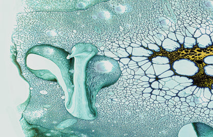 K Color (Chrome Oxide) Pigment dispersing in Croom Acrylic House Paint fototapet