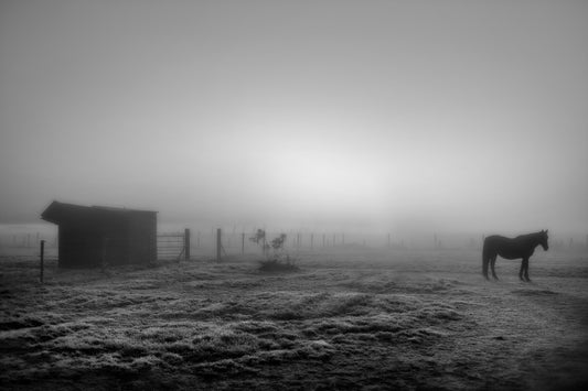 A horse with no name fototapet