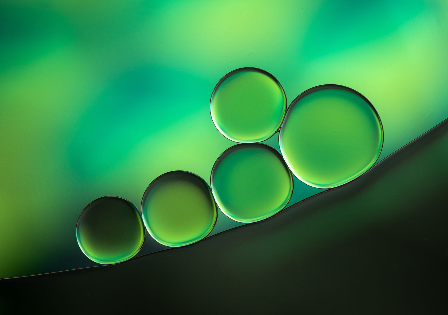 Black Spot fototapet