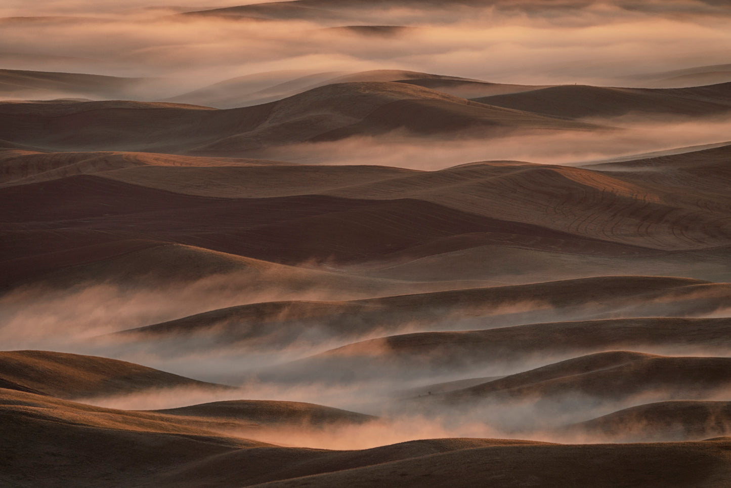 Early Spring Morning at Palouse fototapet