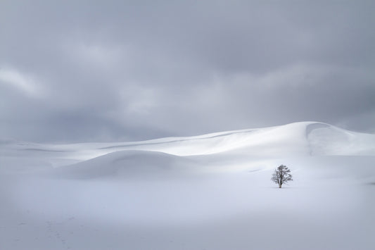 Winter Solitude 7142 fototapet