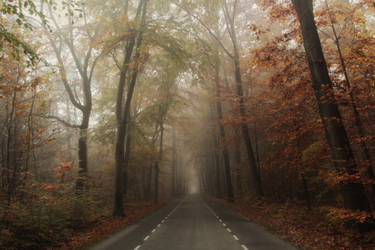 Autmnal Equinox fototapet