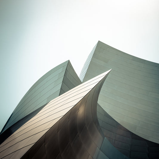 Walt Disney Concert Hall - study I fototapet