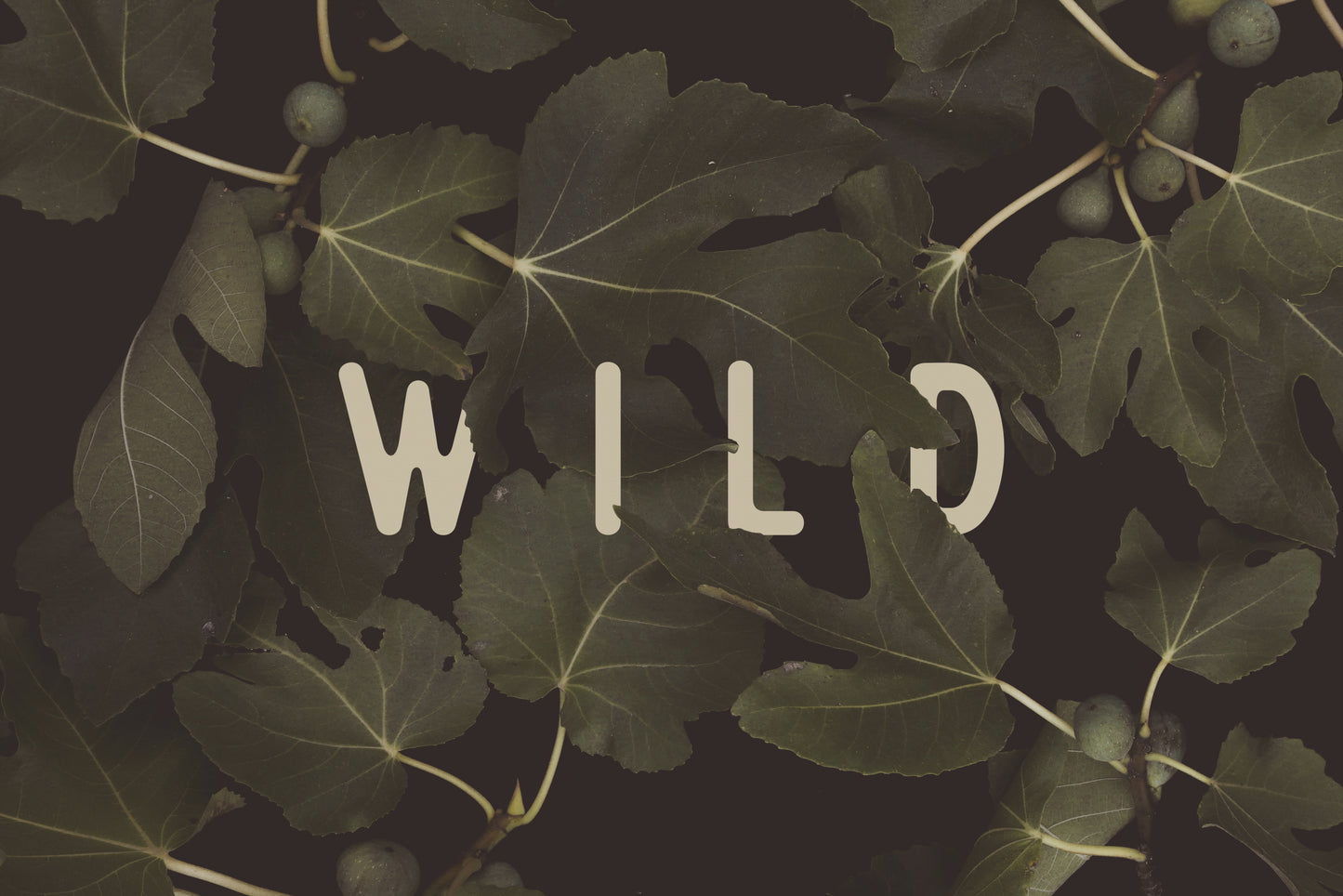 Wild Nº1 fototapet