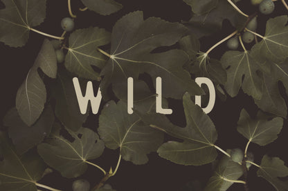 Wild Nº1 fototapet