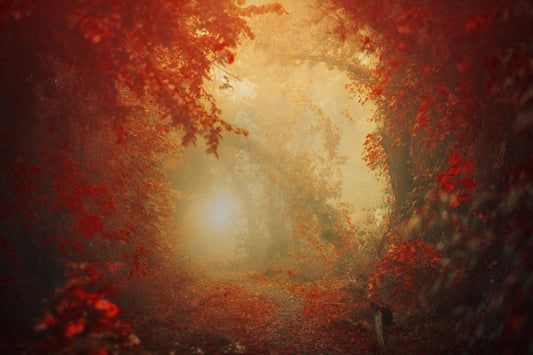 Personal Journey fototapet