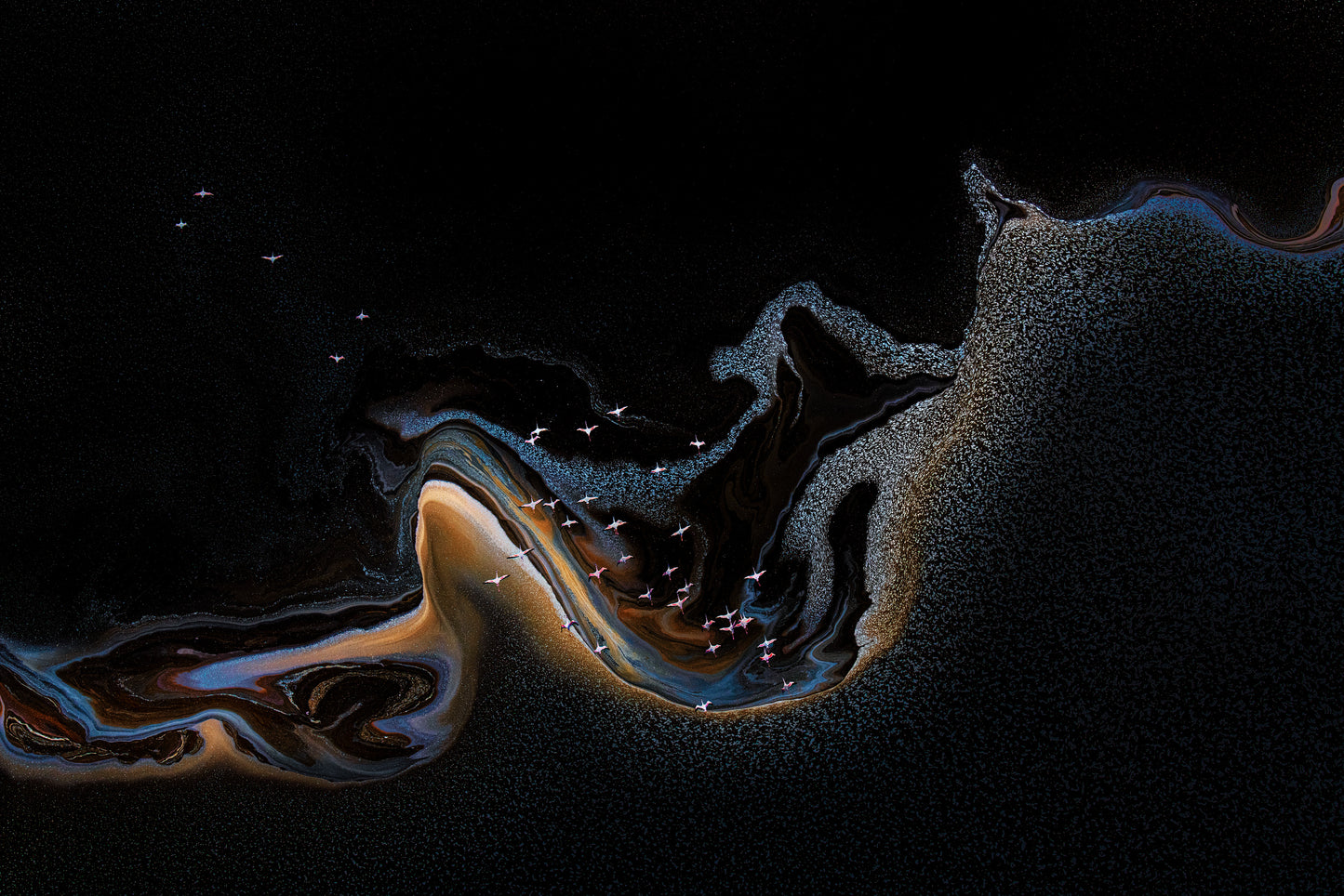 Flamingo over lake fototapet