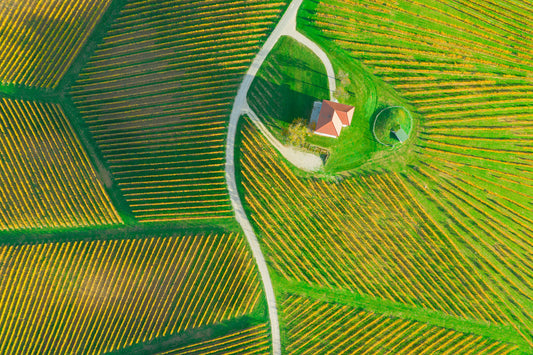 Wine House fototapet