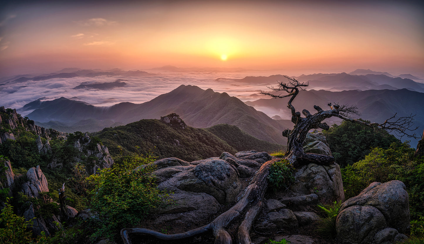 Sunrise on Top fototapet