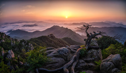 Sunrise on Top fototapet