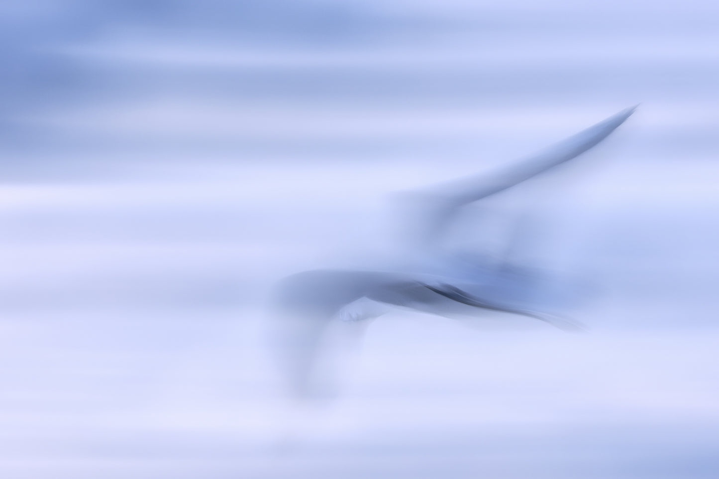 wings game  2 fototapet