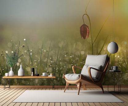 Wide tulip fototapet