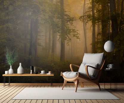 Autumn Forest fototapet