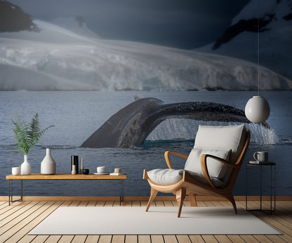 A Whale in Antarctica fototapet