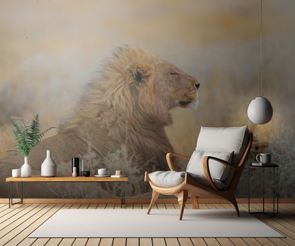 Male lion with cub fototapet