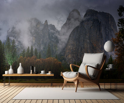 Yosemite after rain fototapet