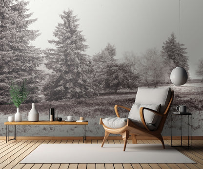 W6 2 Dsc9925 fototapet