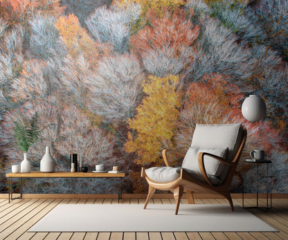 Autumn branches fototapet