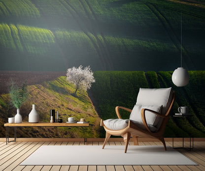 A flowering tree in the waves fototapet