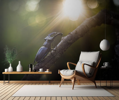 Way To The Sun' fototapet