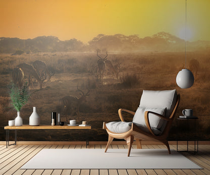 African atmosphere at sunset  A734493 fototapet