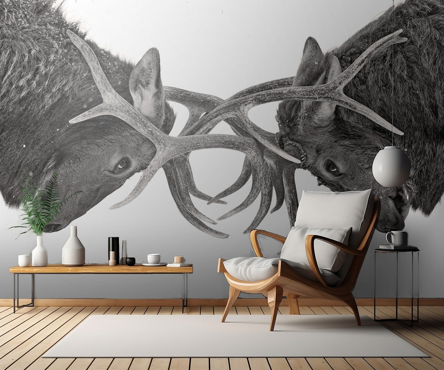 Eye to Eye - Elk fight fototapet