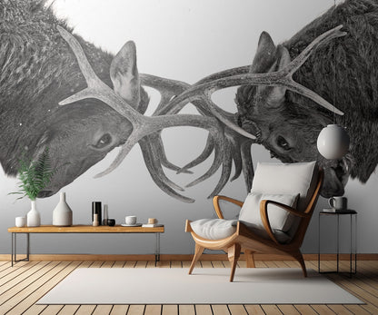 Eye to Eye - Elk fight fototapet