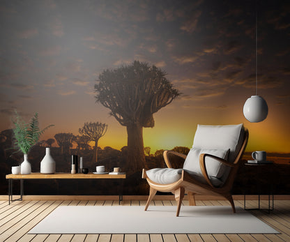 At sunrise 7R45806 fototapet