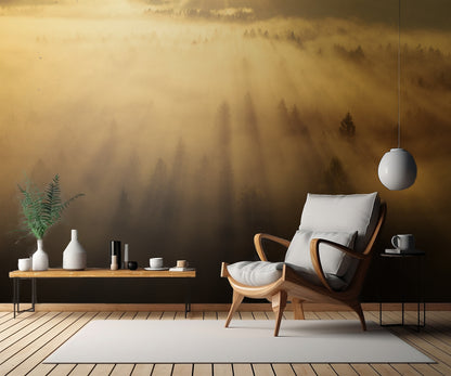 Morning in the forest fototapet