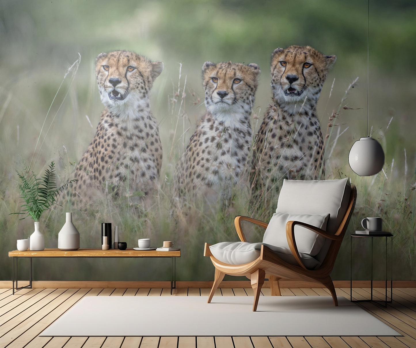 Cheetah cubs fototapet