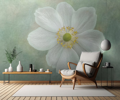 Anemone ‘Honorine Jobert’ fototapet
