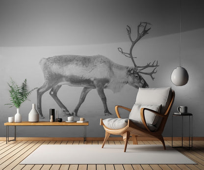 Alone in the Arctic wasteland fototapet