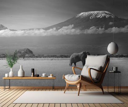 Lost Colors II fototapet