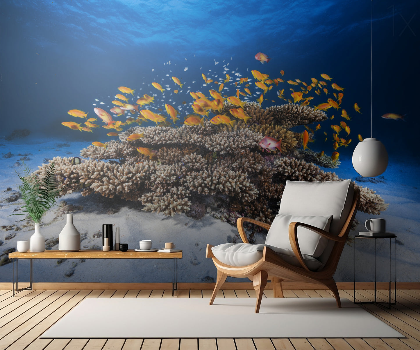 Marine Life fototapet